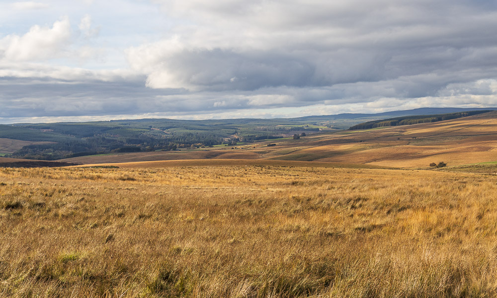Kielder Forest Kielder Forest
